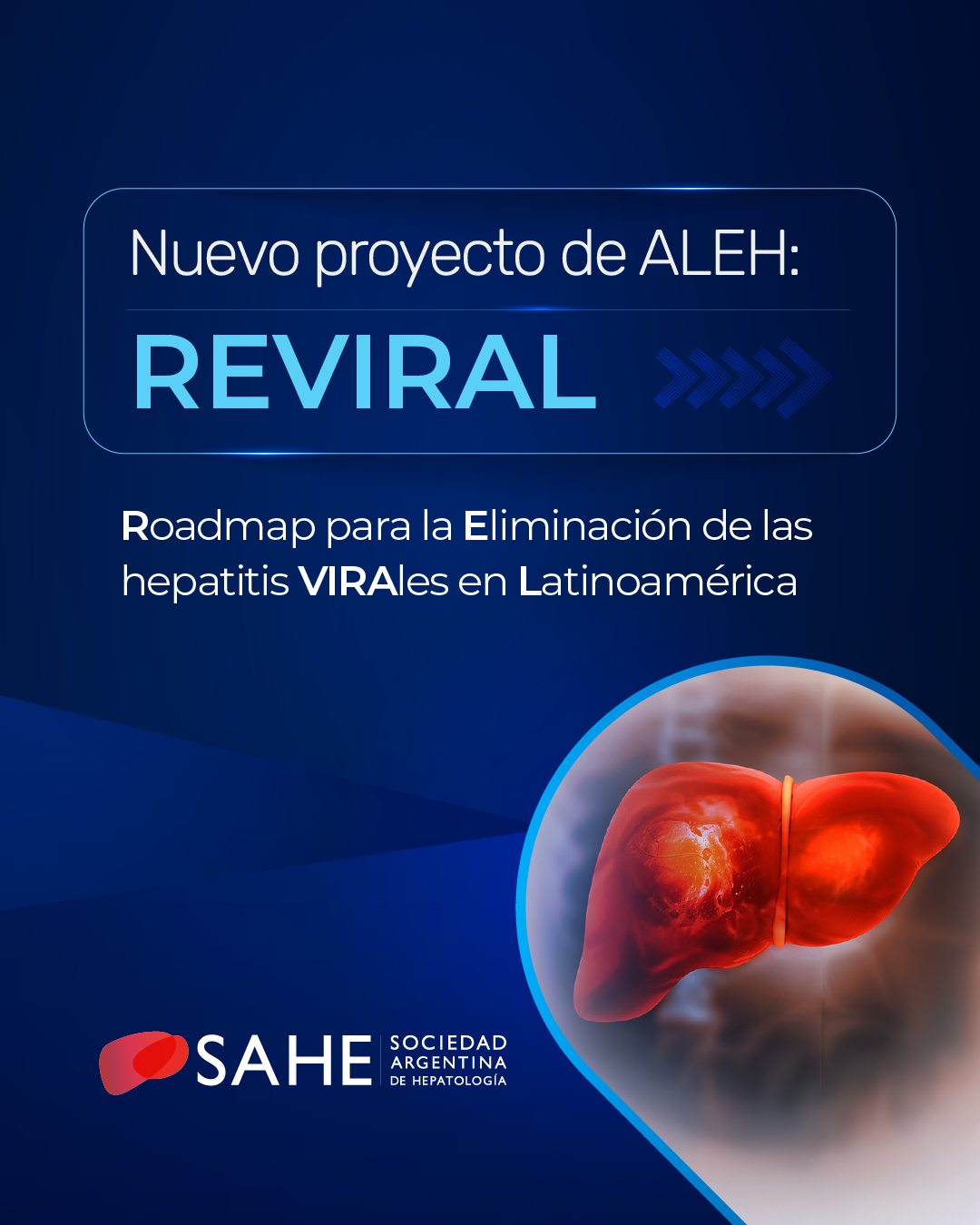 Nuevo proyecto de ALEH: REVIRAL