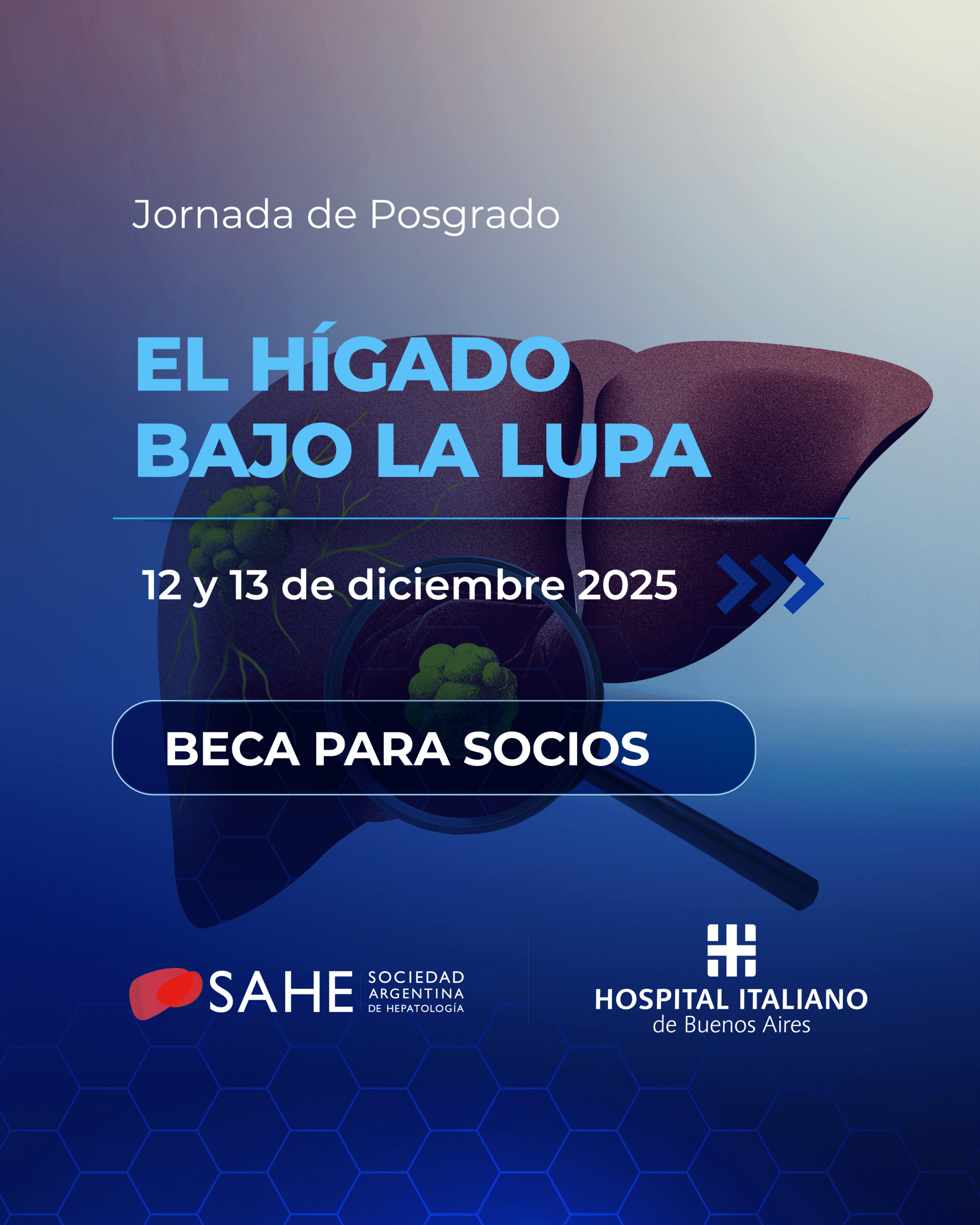 El Hígado bajo la Lupa