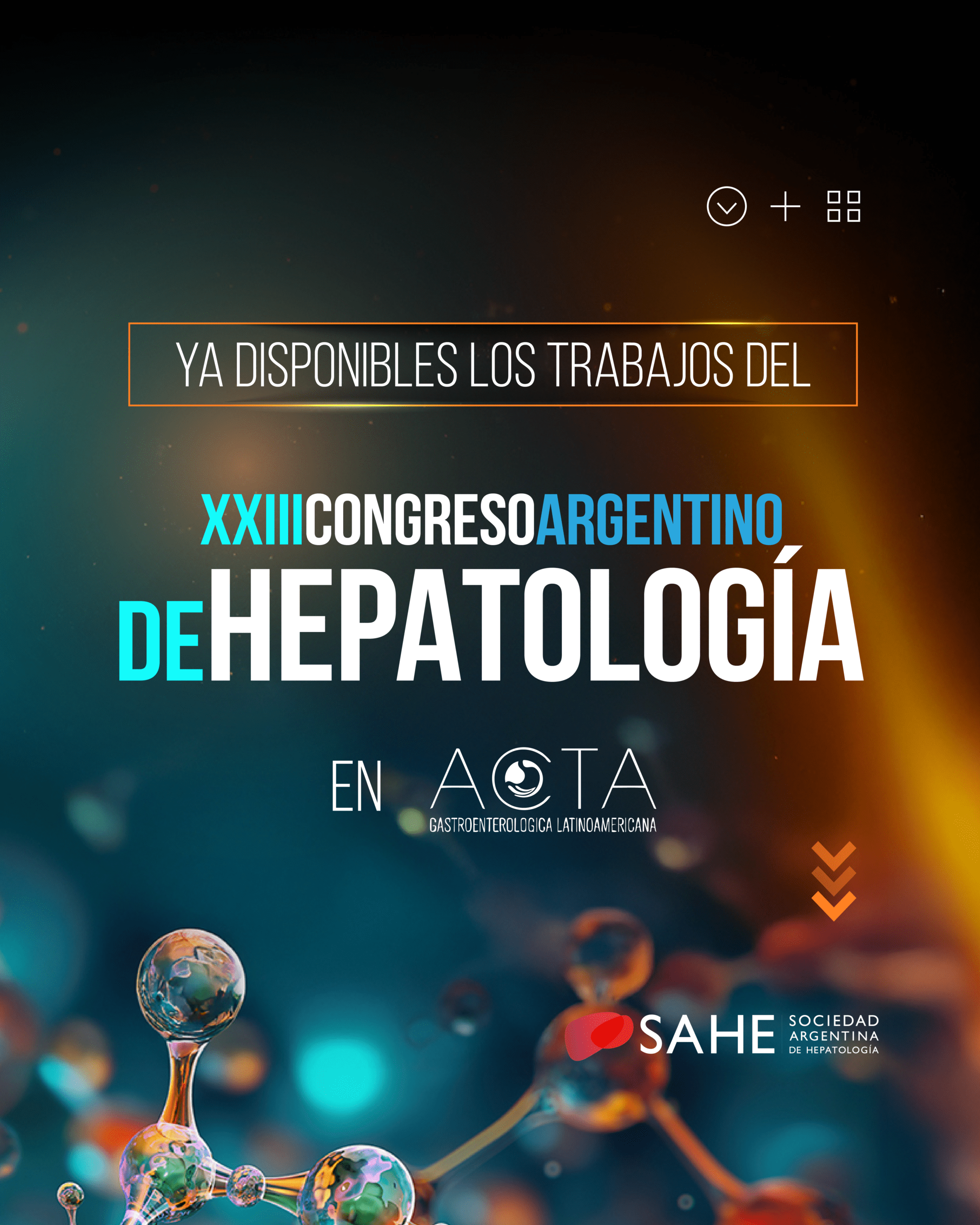 Trabajos XXIII Congreso Argentino de Hepatología en ACTA